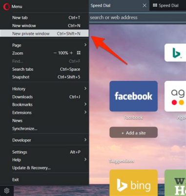 how to open private tab on opera and is it safe to use private browsing mode for financial transactions?